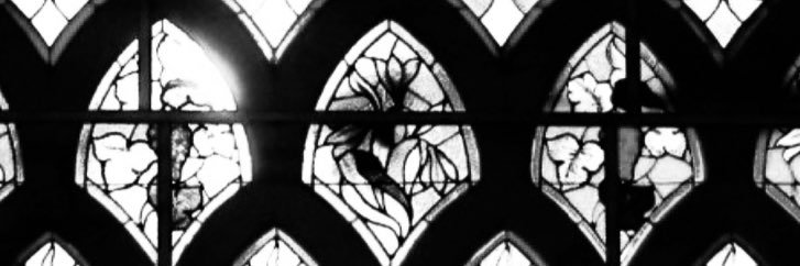 Bionic_s_'s profile banner image