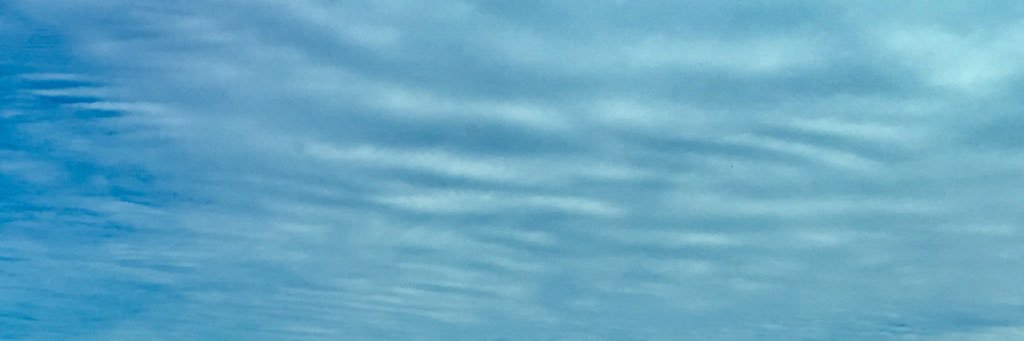 sambloom131's profile banner image