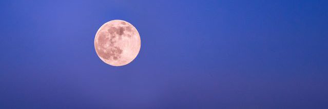 DOGEMoonshot's profile banner image