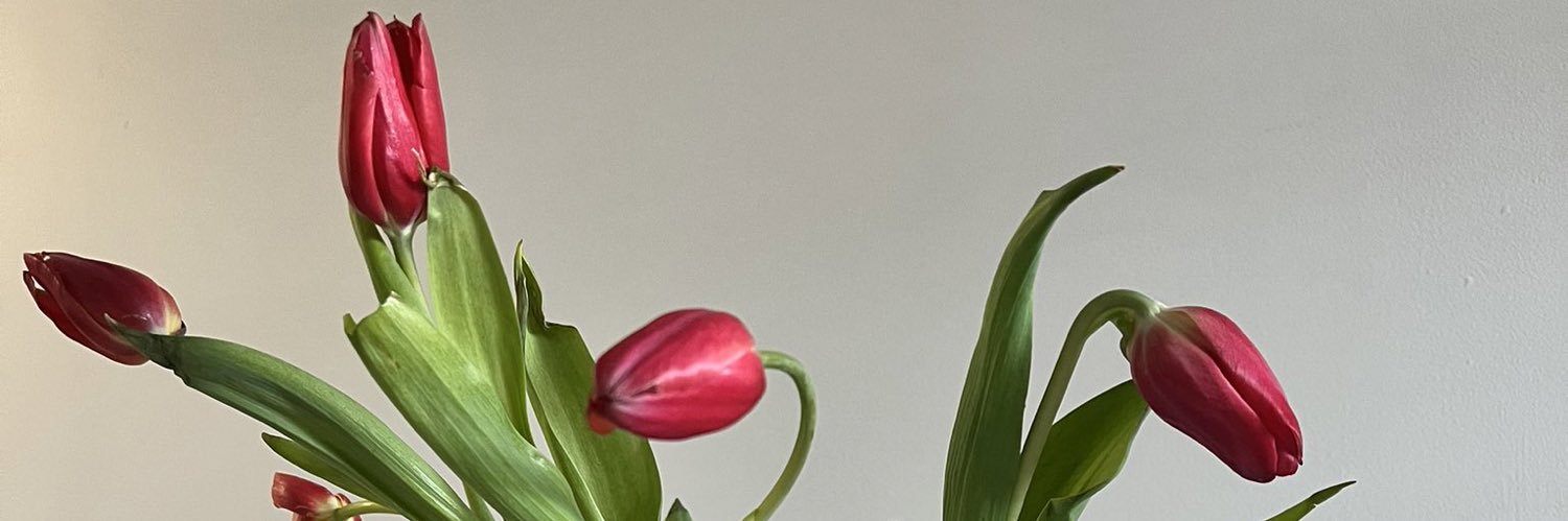 Tiapeaaa's profile banner image