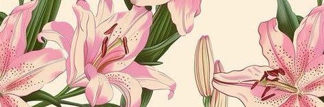 ___gcr___'s profile banner image
