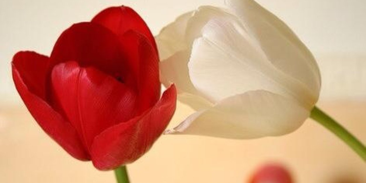 Ola_Ali89's profile banner image