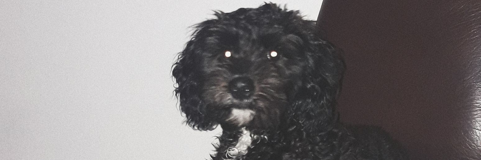Oriveee's profile banner image