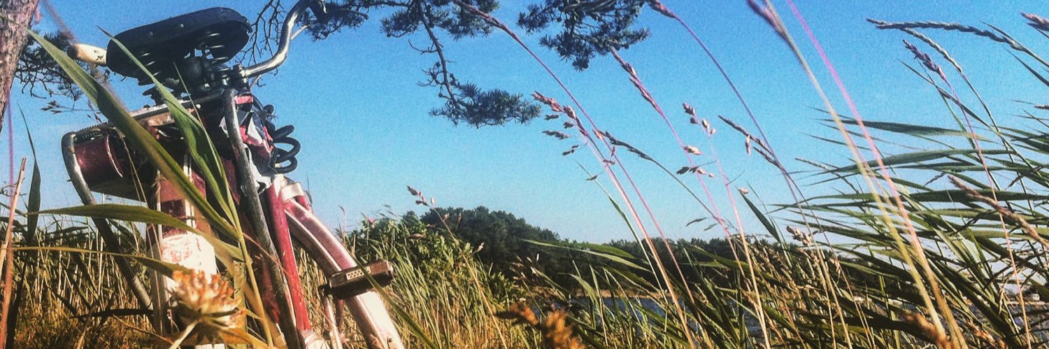 paliocha's profile banner image