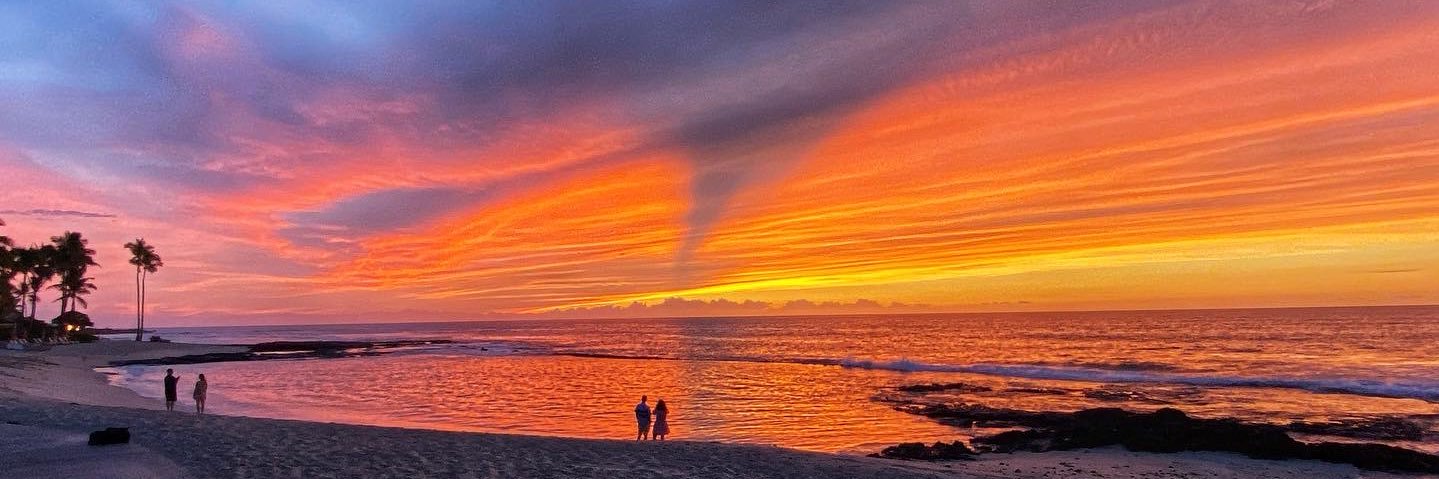 Shelly Steig *is revising* banner