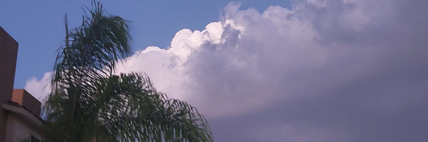 ilserratos's profile banner image