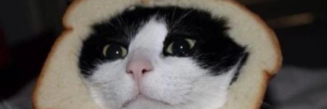 moshingatwarped's profile banner image