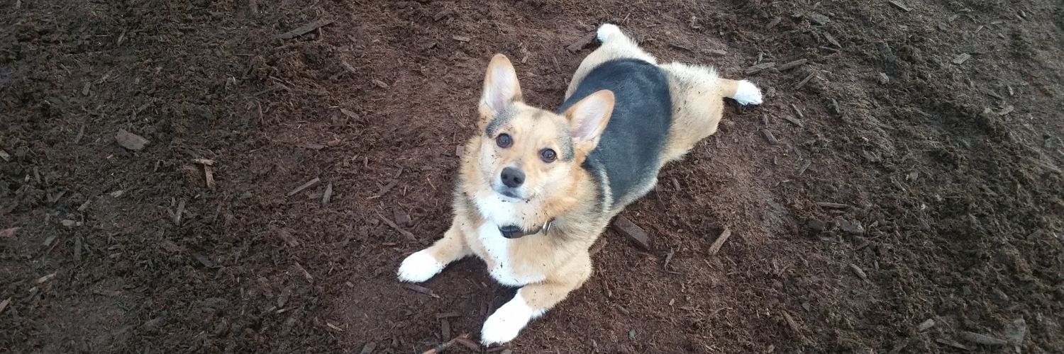 kimaloo25's profile banner image