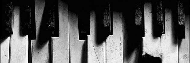diannarozzi's profile banner image