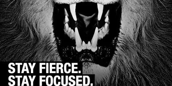 NZFortafyers's profile banner image