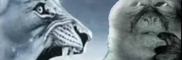 funfactslay's profile banner image
