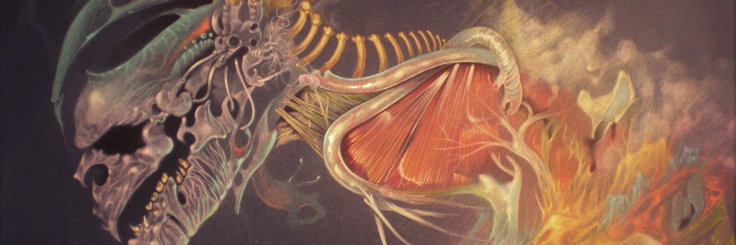 JAVIER MÁRQUEZ / ARTISTA banner