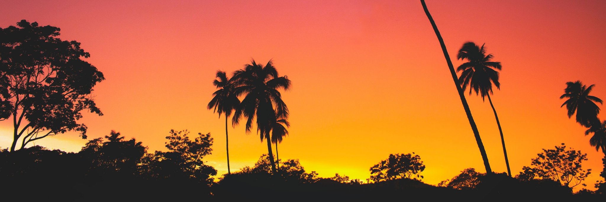 Indiematik.com banner