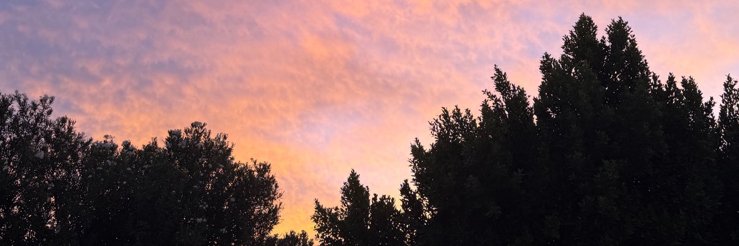 Juliaa_Maywald's profile banner image