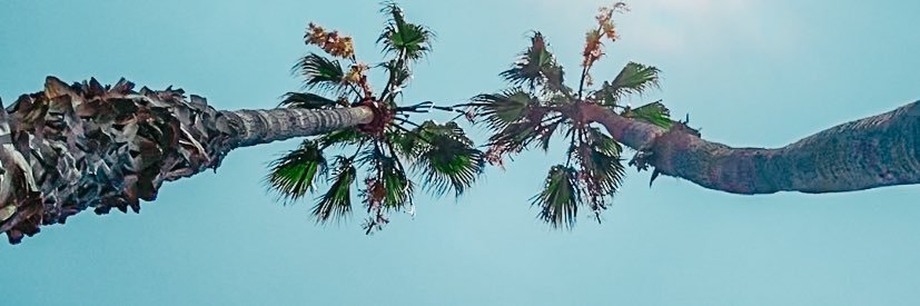 whatevermagz's profile banner image