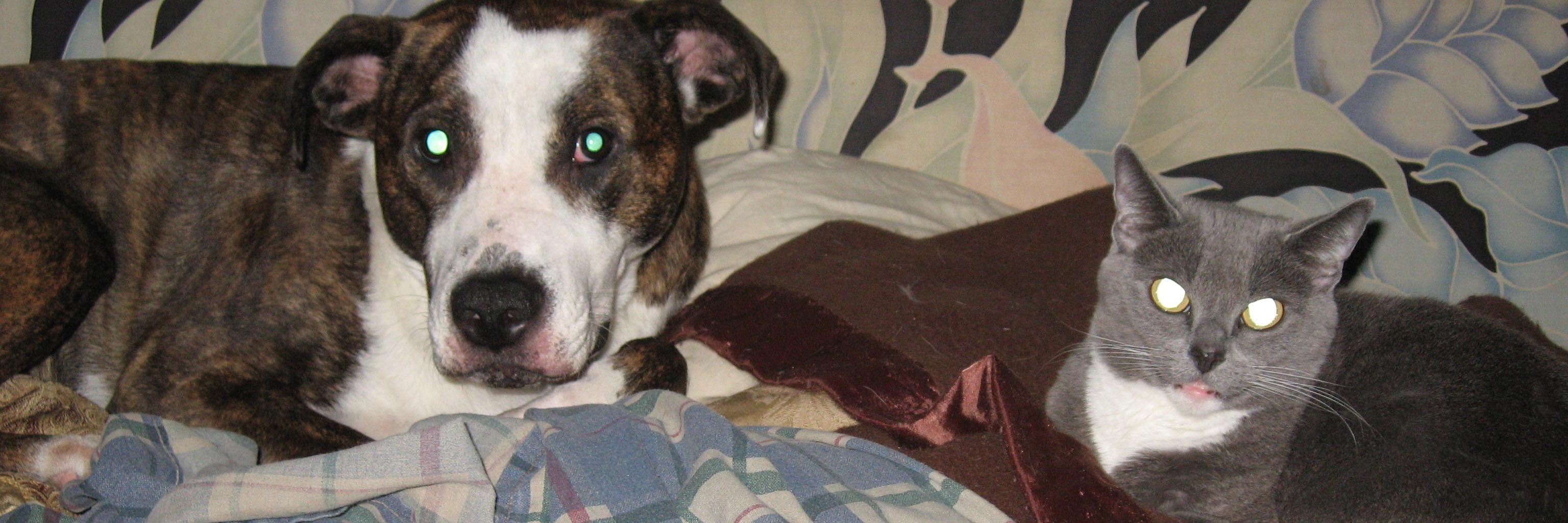 Ricardo Clubbs banner