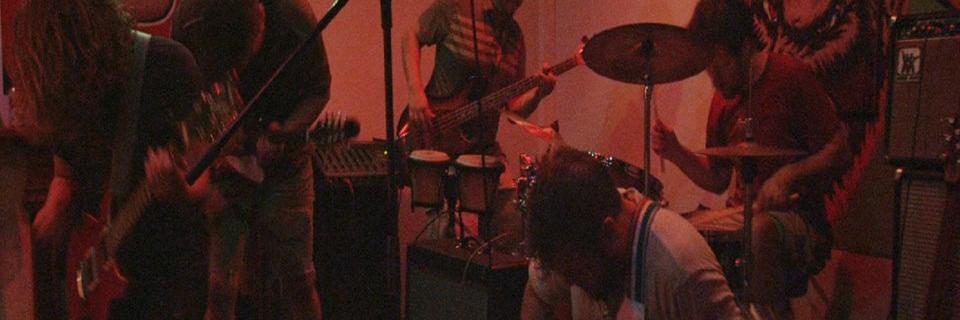 wearefauna's profile banner image