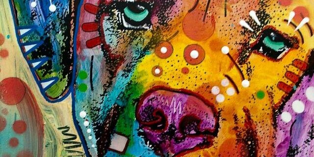 Adoptasanfelipe's profile banner image
