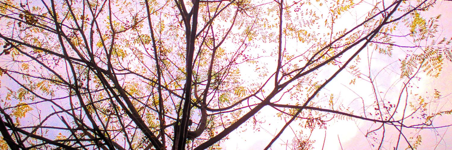 Deepak Chauhan banner