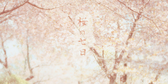 sumiabot's profile banner image