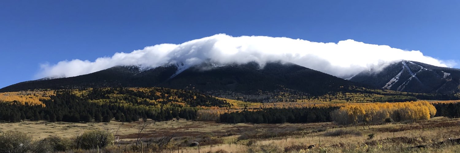 EmmaHarries98's profile banner image