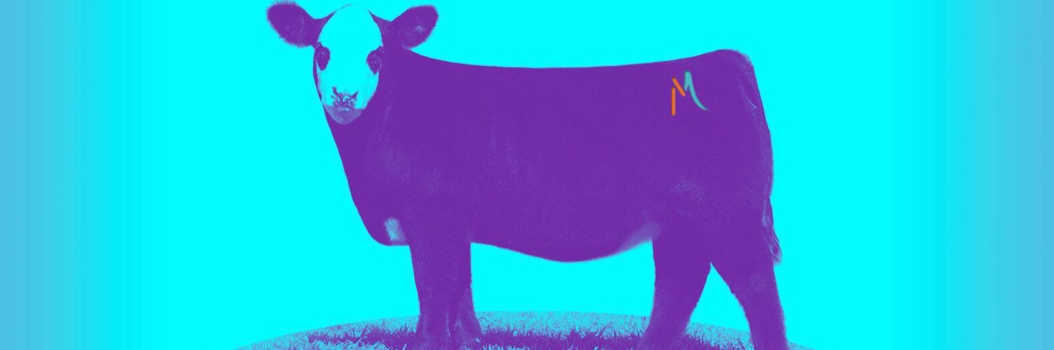 bmachete's profile banner image