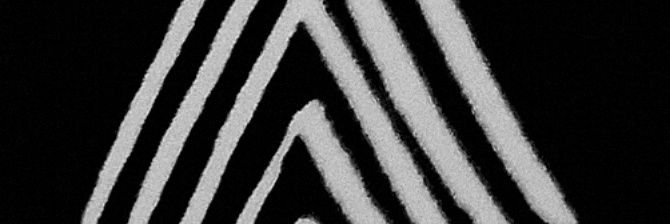 Brendon Allen banner