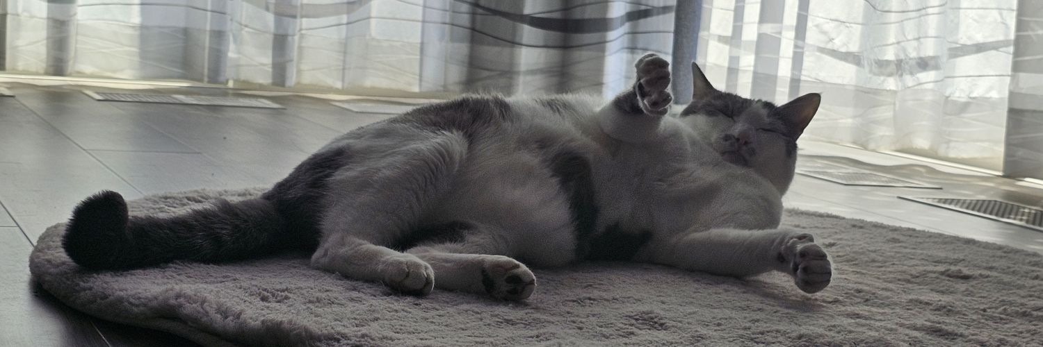 ooazazoo's profile banner image