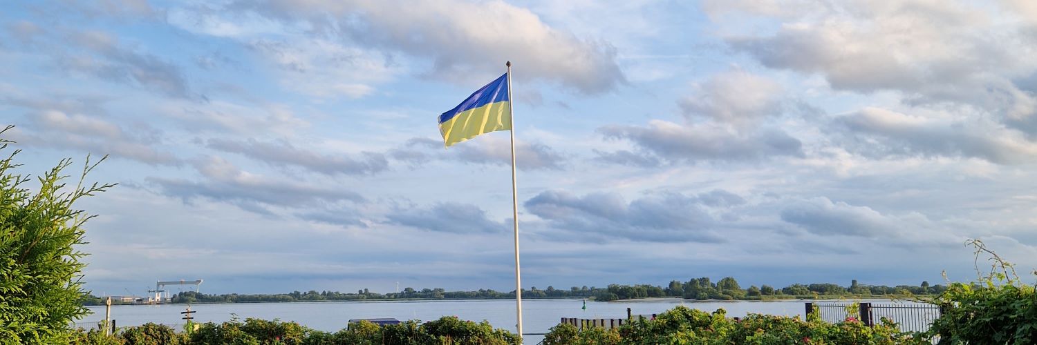 iskovych's profile banner image
