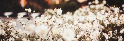 amanda_jw86's profile banner image