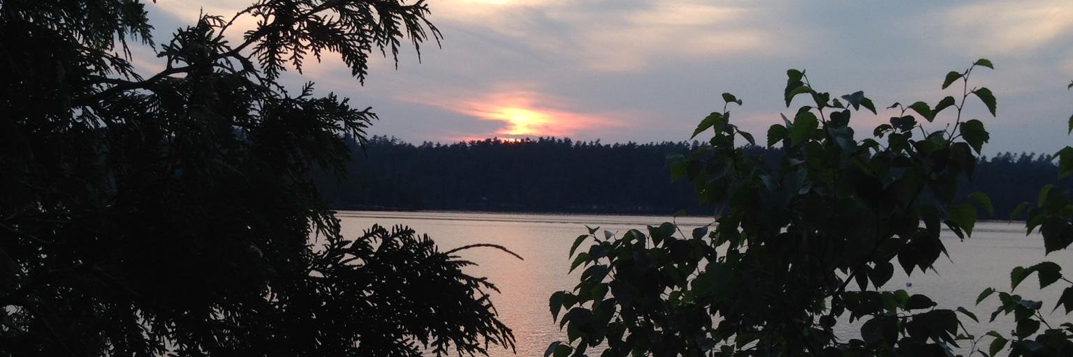 jemma111's profile banner image