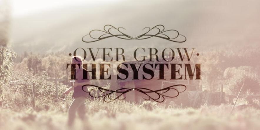 OverGrowSystem's profile banner image