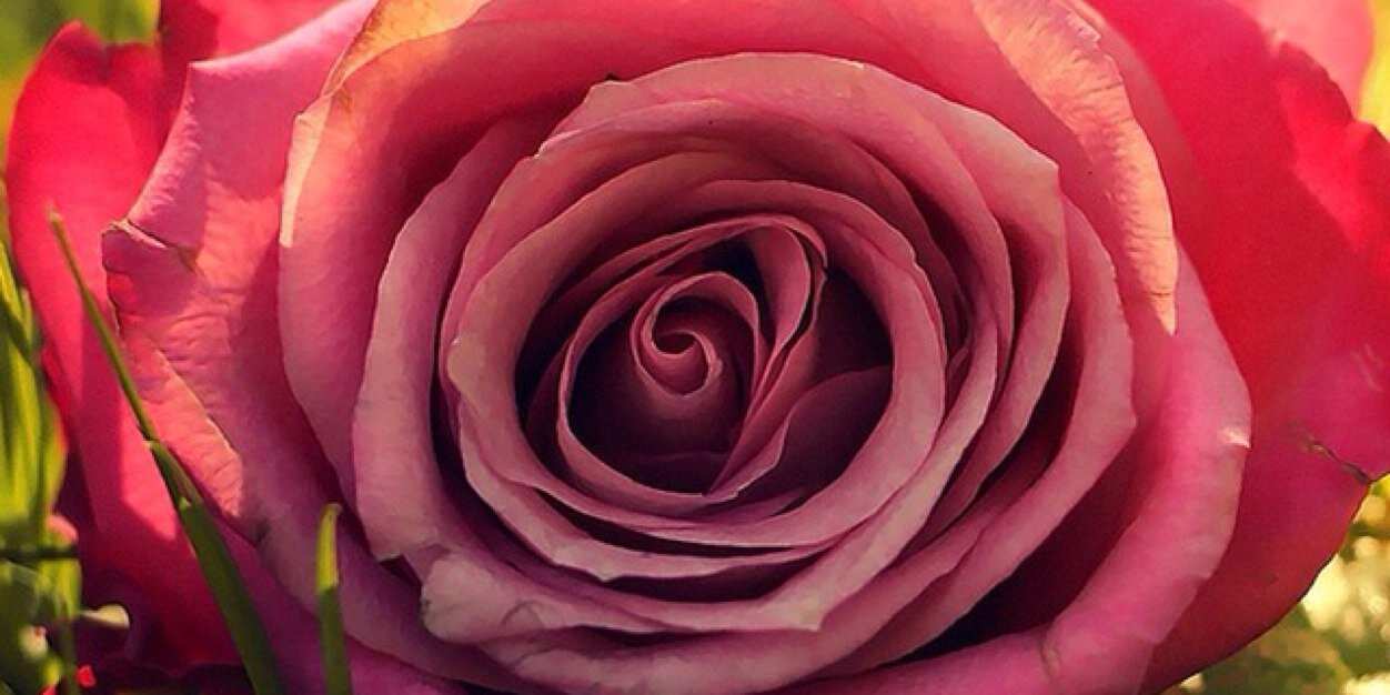 Emma Hynds banner