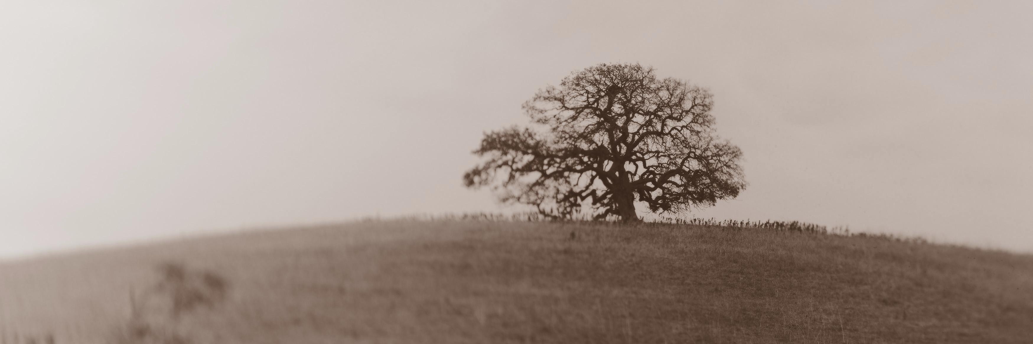 LargeSenseLLC's profile banner image