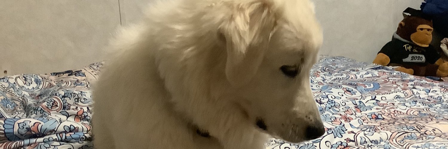 auddreyy10's profile banner image