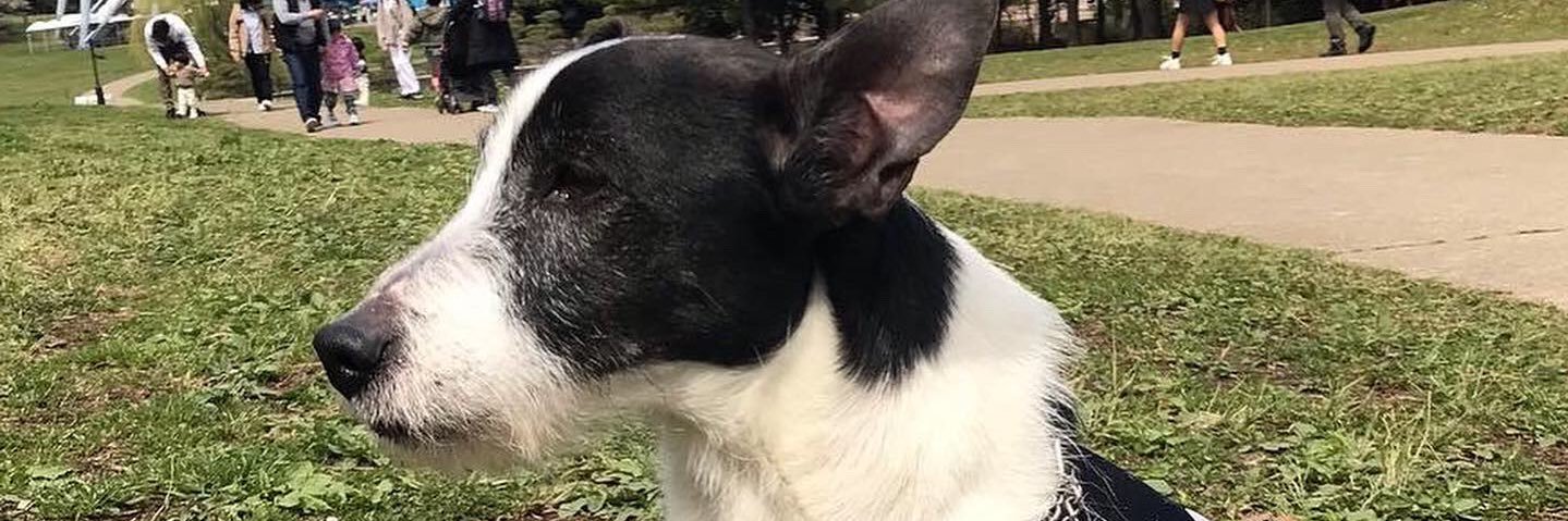 jamaro_tm's profile banner image
