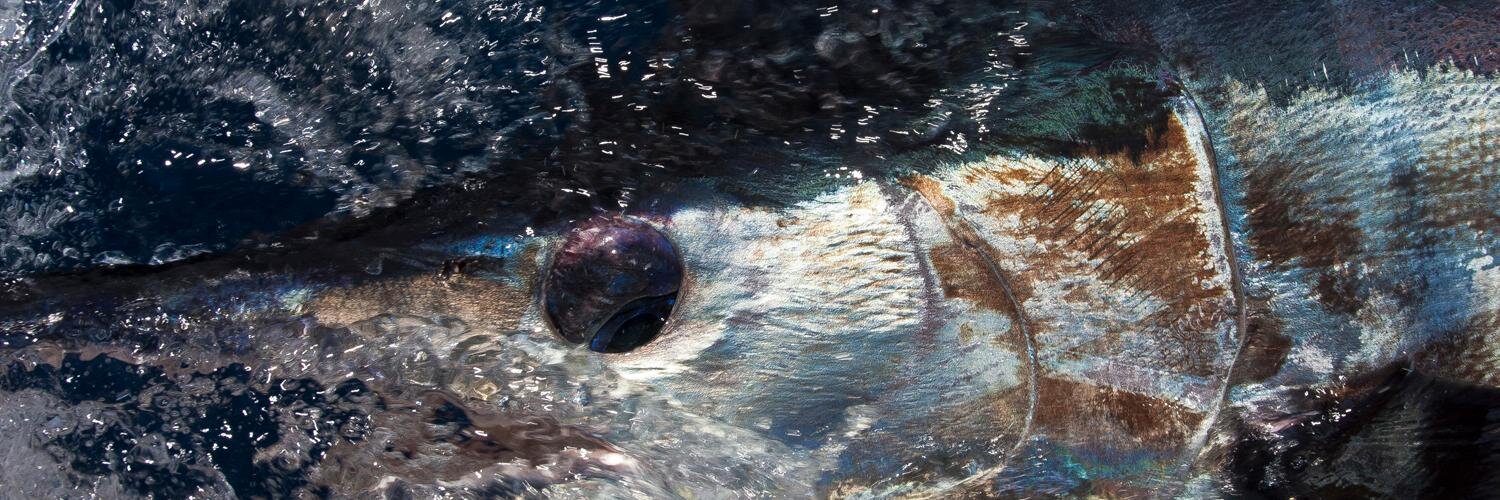 FishingGearTest's profile banner image