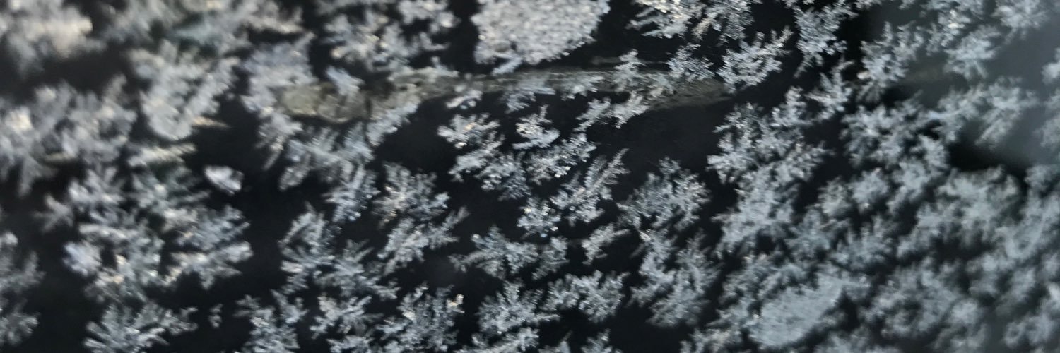 chanpalmieri's profile banner image