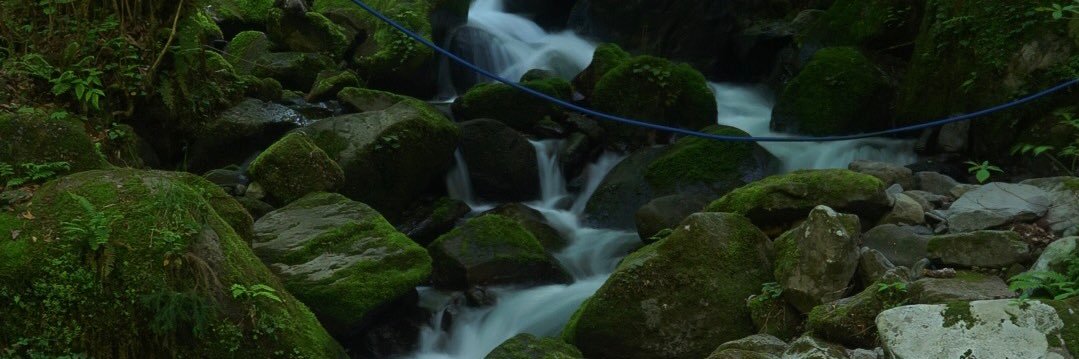 swisport's profile banner image
