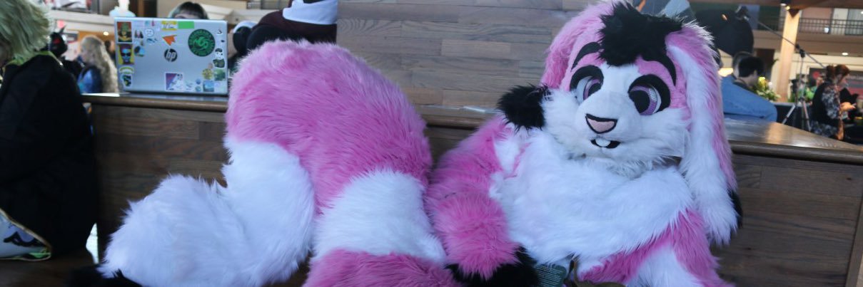 BunnerMiller's profile banner image