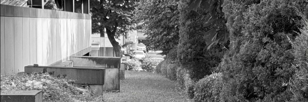 bibian_lee's profile banner image
