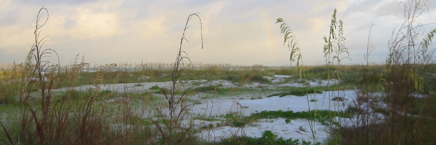 StephanDolle's profile banner image
