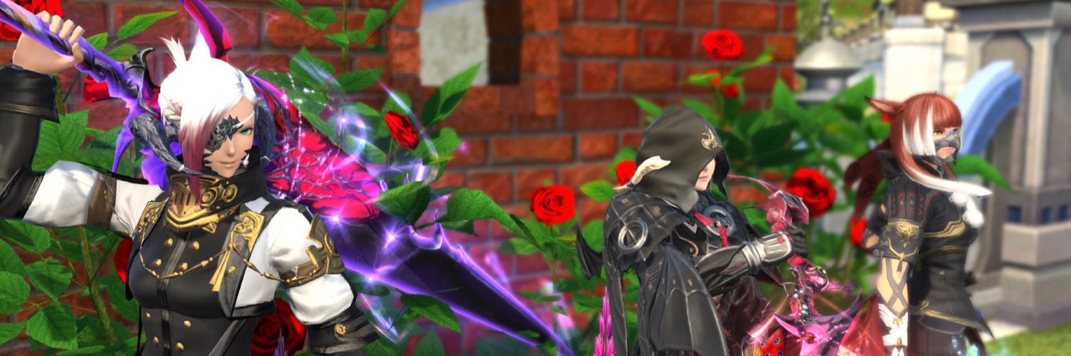 benelibra's profile banner image