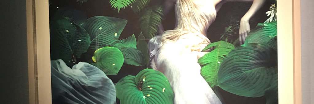 nsm117c's profile banner image