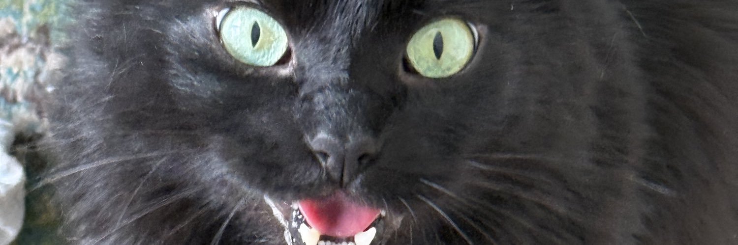 alexaleighf's profile banner image