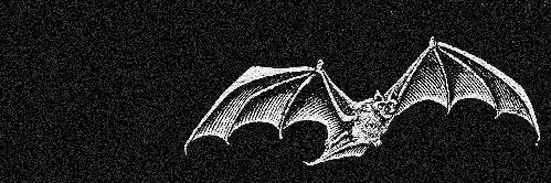 bbgordo_'s profile banner image