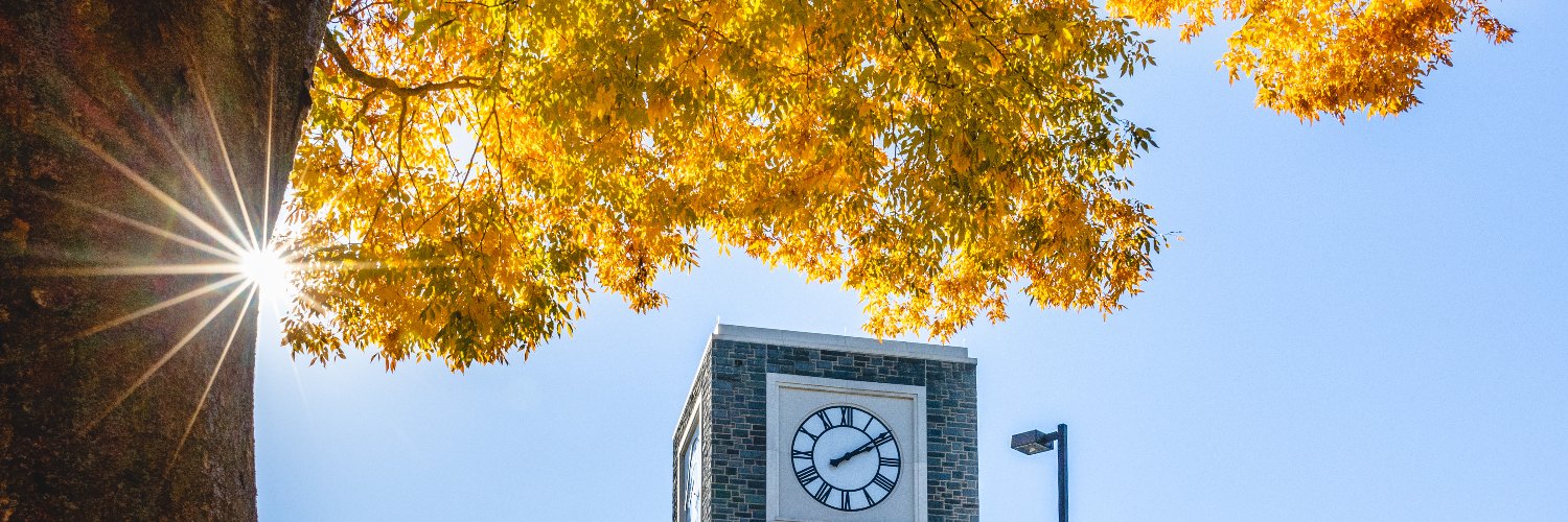 JMU Alumni Assoc. banner