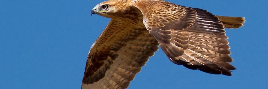 kitmir_omer's profile banner image