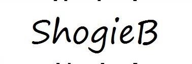 shogiebogie's profile banner image