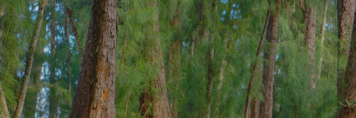 spunkyredheadd's profile banner image